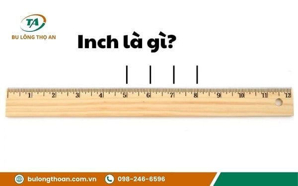 1-inch-bang-bao-nhieu-cm__2__9419f456cd4b4401a236fd30881ce428_grande Inch là gì