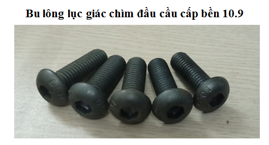 9-_din_7380_bu_long_luc_giac_chim_dau_cau_den_ea2d6c612019471992a8528e4240f57c_grande