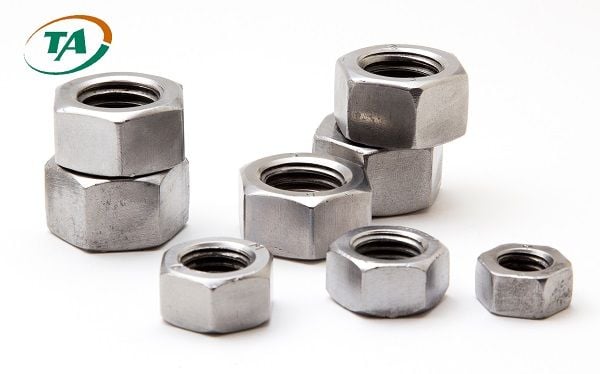 dai-oc-e-cu-la-gi__3__a47956c8ba4643668992447ba68554f2_grande-1