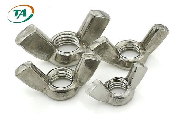 dai-oc-e-cu-la-gi__6__c28795f120264874a5102b7def3732fa_grande-3