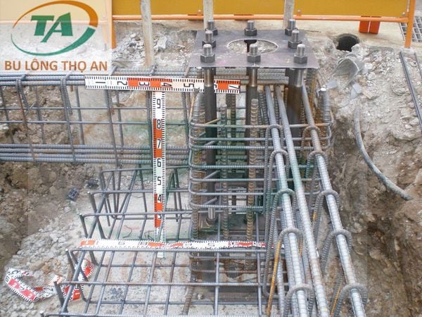 lap-dat-bu-long_d78b1ef6db2a431c92f174493ec5a104_grande-1