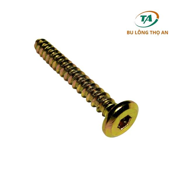 vit-go-inox__3__26204ce29ab341159dca489e28af191f_master Vít gỗ Inox - vít bắn gỗ Inox cao cấp giá chỉ từ 20.000đ