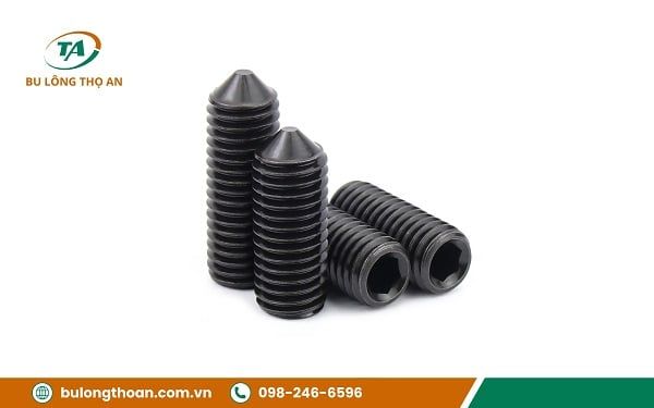 vit-tri-den__2__grande Đặc điểm cấu tạo của ốc lục giác chìm đen