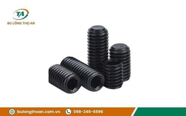 vit-tri-den__4__grande Vít trí đen thường được dùng ở