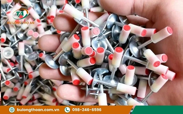 Cấu tạo tắc kê đạn nổ